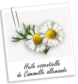 Huile essentielle Camomille allemande (ou Matricaire) Aroma-Zone