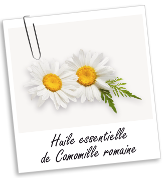 Huile essentielle Camomille romaine Aroma-Zone