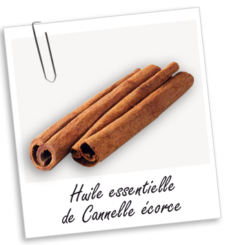 Huile essentielle Cannelle de Ceylan écorce Aroma-Zone