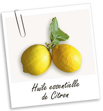 Huile essentielle Citron Aroma-Zone