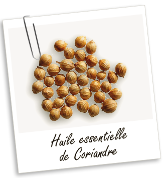 Huile essentielle Coriandre Aroma-Zone
