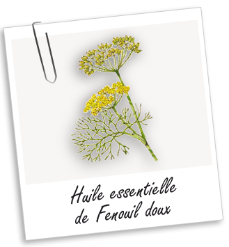Huile essentielle Fenouil doux Aroma-Zone