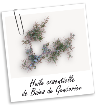 Huile essentielle Genévrier baies Aroma-Zone