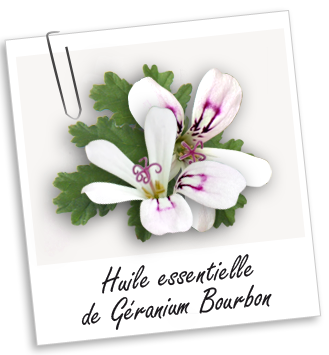 Huile essentielle Géranium type Bourbon Aroma-Zone
