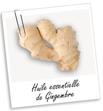 Huile essentielle Gingembre Aroma-Zone