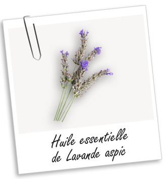 Huile essentielle Lavande aspic BIO Aroma-Zone