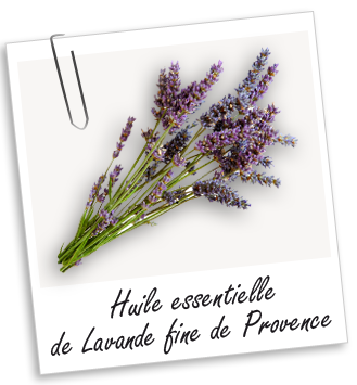 Huile essentielle Lavande fine de Provence BIO Aroma-Zone