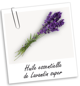 Huile essentielle Lavandin super Aroma-Zone
