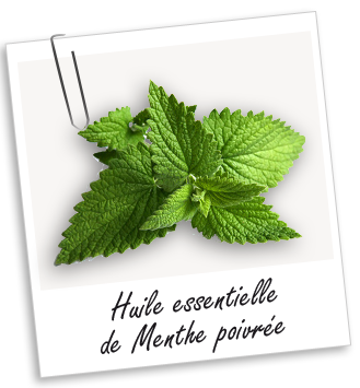 Huile essentielle Menthe poivrée BIO Aroma-Zone