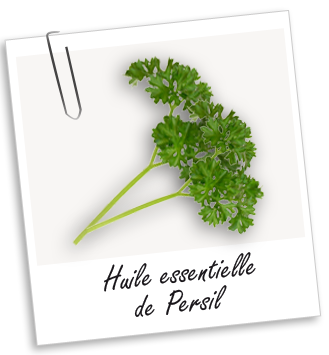 Huile essentielle Persil Aroma-Zone
