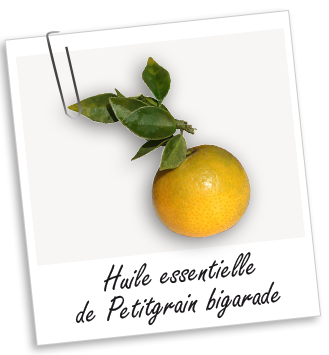 Huile essentielle Petitgrain bigarade BIO Aroma-Zone