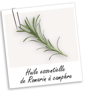 Huile essentielle Romarin à camphre BIO Aroma-Zone