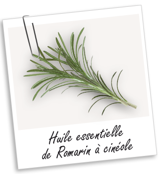 Huile essentielle Romarin à cinéole BIO Aroma-Zone