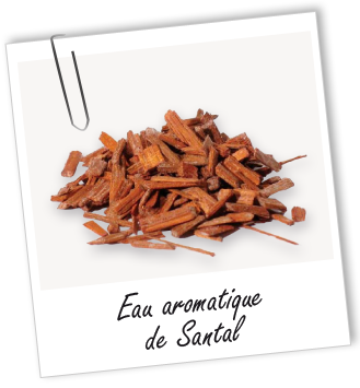 Eau aromatique Santal alba Sauvage Aroma-Zone
