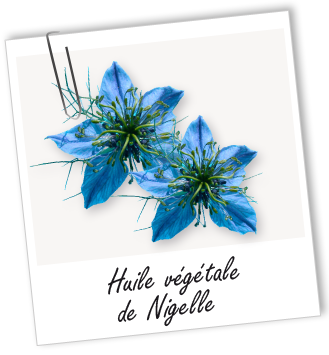 Huile végétale Nigelle BIO (cumin noir) Aroma-Zone