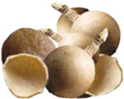 Acide hyaluronique