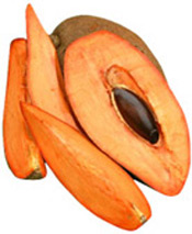 Huile végétale Sapote Aroma-Zone