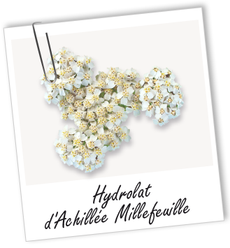 Hydrolat Achillée millefeuille BIO Aroma-Zone