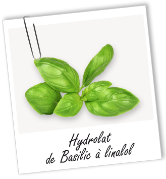 Hydrolat Basilic à linalol BIO Aroma-Zone