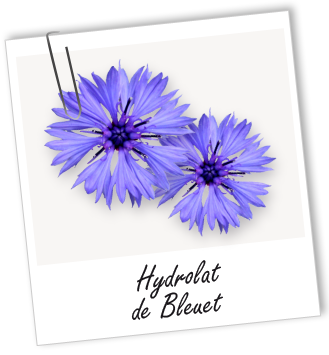 Hydrolat Bleuet BIO Aroma-Zone