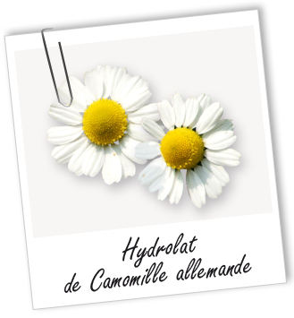 Hydrolat Camomille allemande BIO Aroma-Zone (Matricaire)