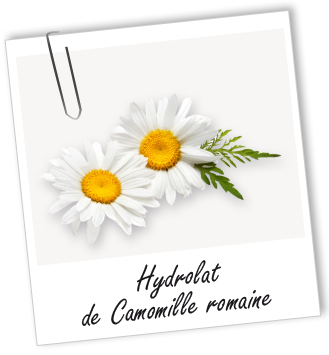 Hydrolat Camomille romaine BIO Aroma-Zone