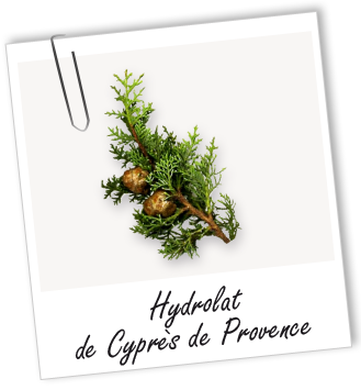 Hydrolat Cyprès de Provence BIO Aroma-Zone