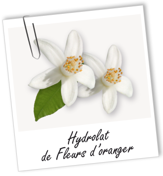 Hydrolat Fleurs d'Oranger BIO Aroma-Zone