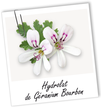 Hydrolat Géranium Bourbon BIO Aroma-Zone