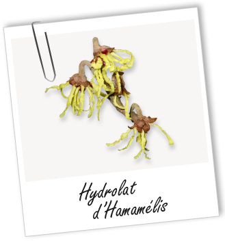 Hydrolat Hamamélis BIO Aroma-Zone