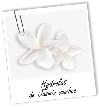 Eau aromatique Jasmin Sambac Aroma-Zone