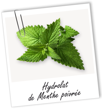 Hydrolat Menthe poivrée BIO Aroma-Zone