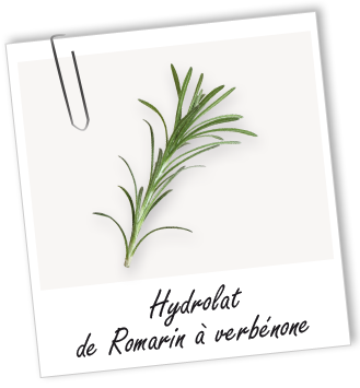 Hydrolat Romarin à verbénone BIO Aroma-Zone