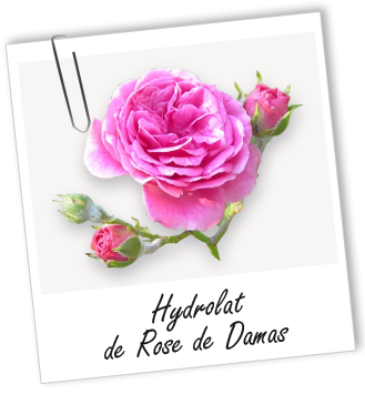 Hydrolat Rose de Damas de la vallée M'Gouna BIO Aroma-Zone