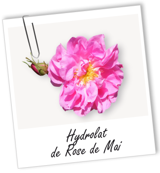 Hydrolat Rose de Mai BIO Aroma-Zone