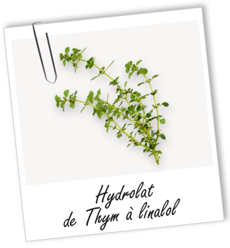 Hydrolat Thym à linalol BIO Aroma-Zone