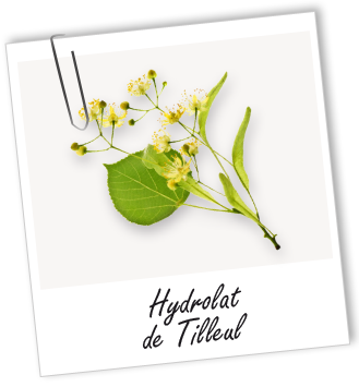 Hydrolat Tilleul BIO Aroma-Zone