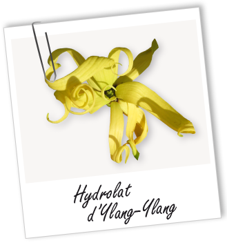 Hydrolat Ylang-Ylang BIO Aroma-Zone