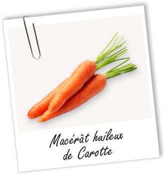 Macérât huileux Carotte BIO Aroma-Zone