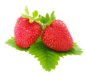 Arôme naturel de Fraise BIO