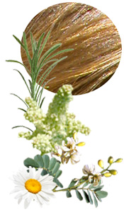 Coloration & Soin capillaire Henné blond Aroma-Zone