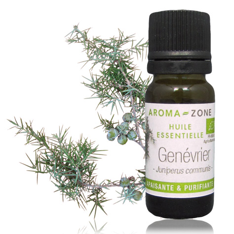 HE tea tree