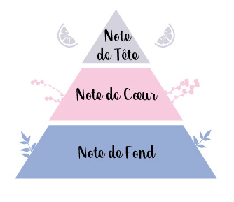 déodorant sans odeur