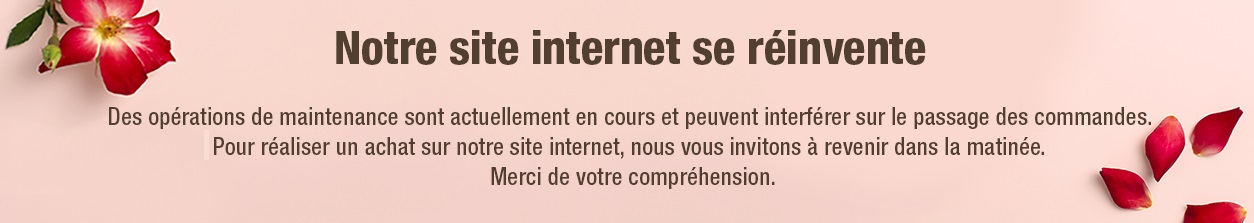 nouveausite2