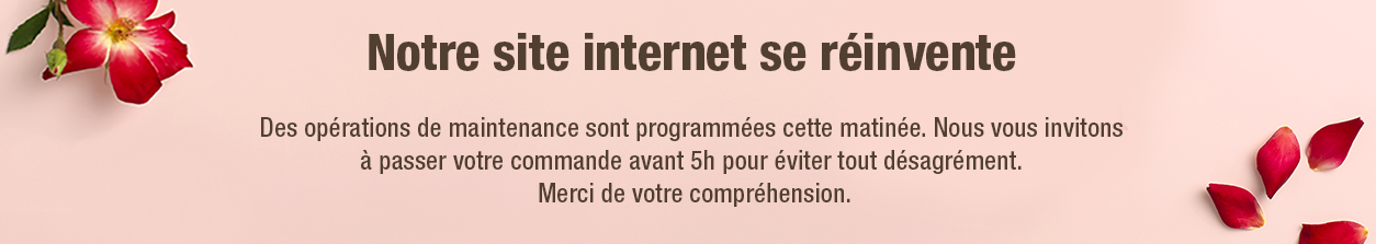 nouveausite