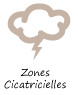 Zones cicatricielles Zones cicatricielles