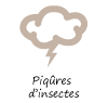 Piqûres d’insectes Piqûres d’insectes