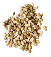 Poudre ayurvédique Fenugrec BIO Aroma-Zone