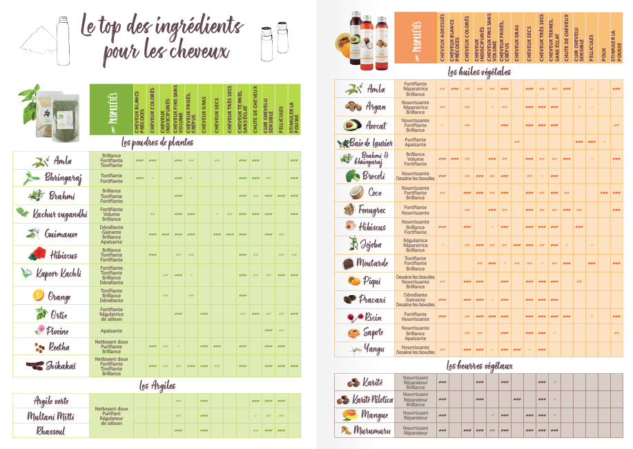 Livret Ma Beauté Nature Soins des Cheveux AromaZone