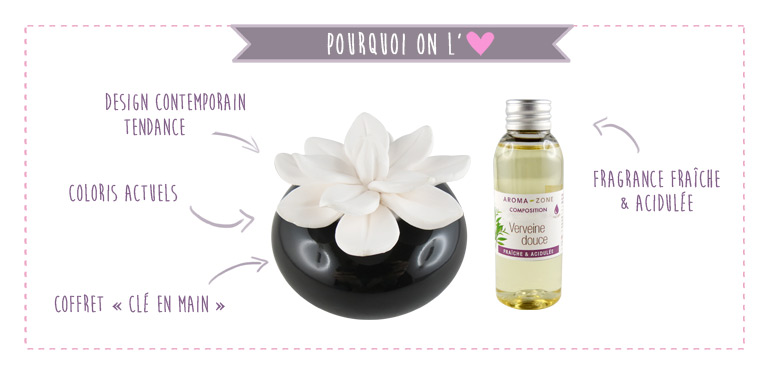 diffuseur parfum par capillarité